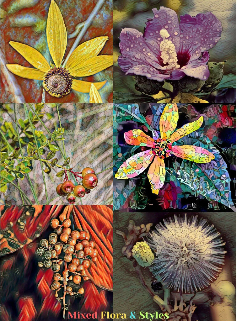 Abstract Nature Styles 2023x1 - Image 5