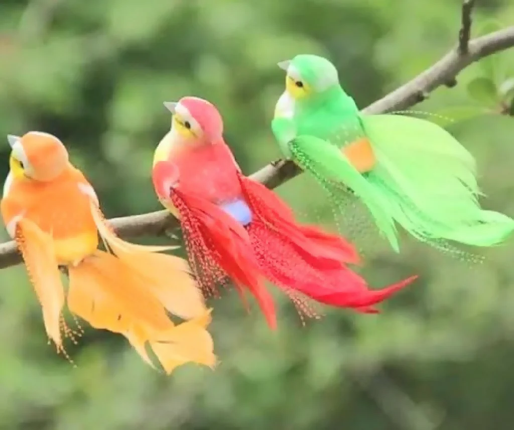 Beautiful of birds