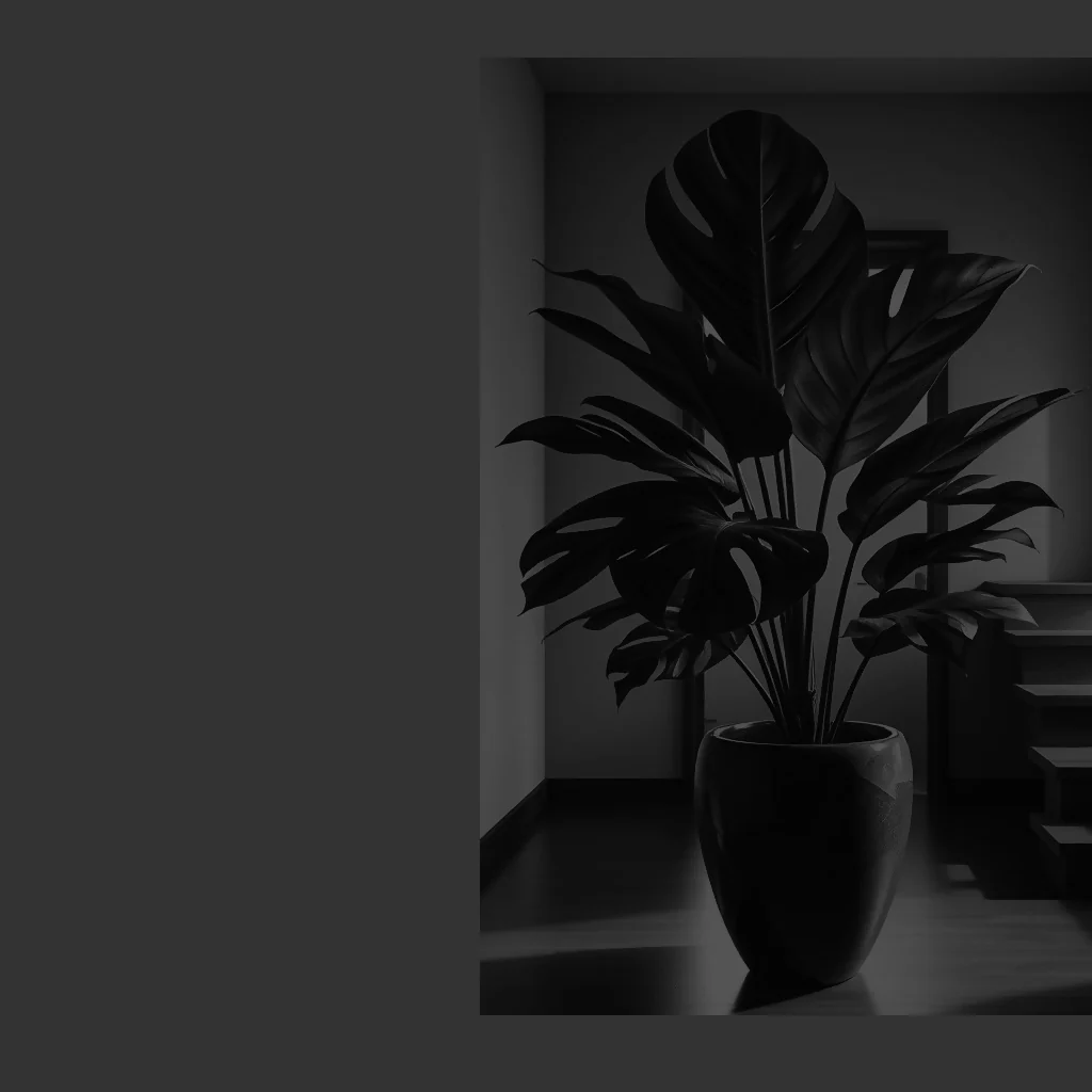 Lone houseplant