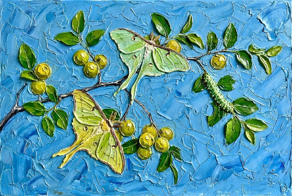 Luna Moon Moths