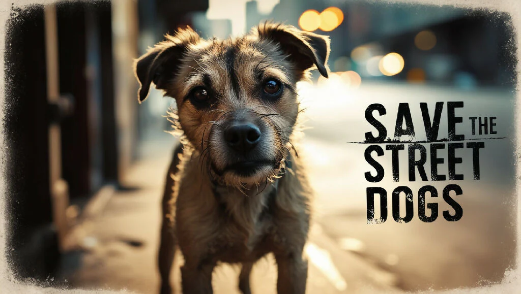 Save the street dogs - Image 3