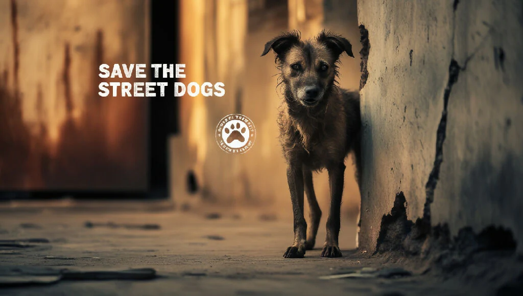 Save the street dogs - Image 8