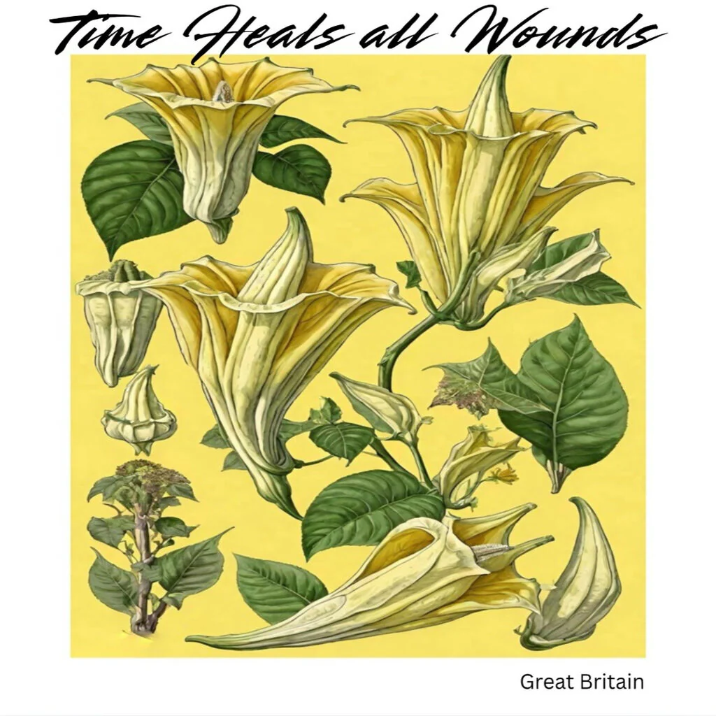 Time Heals All Wounds – Botanical Floral Illustration