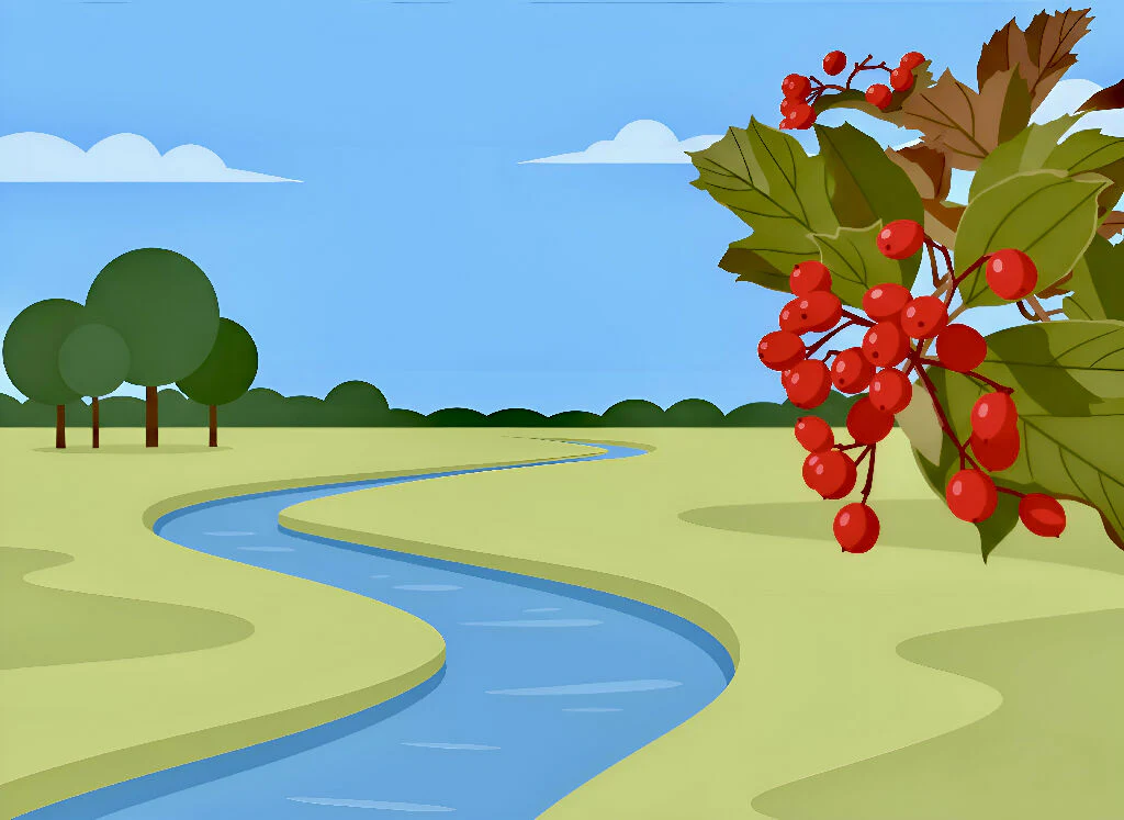 Vibrant Berries, Calm Waters